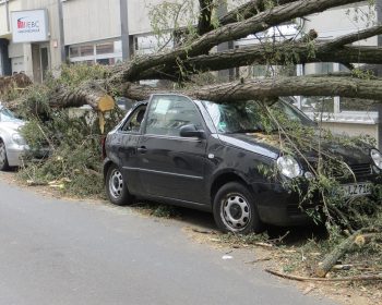 thommas68-storm-damage-1481036_1920